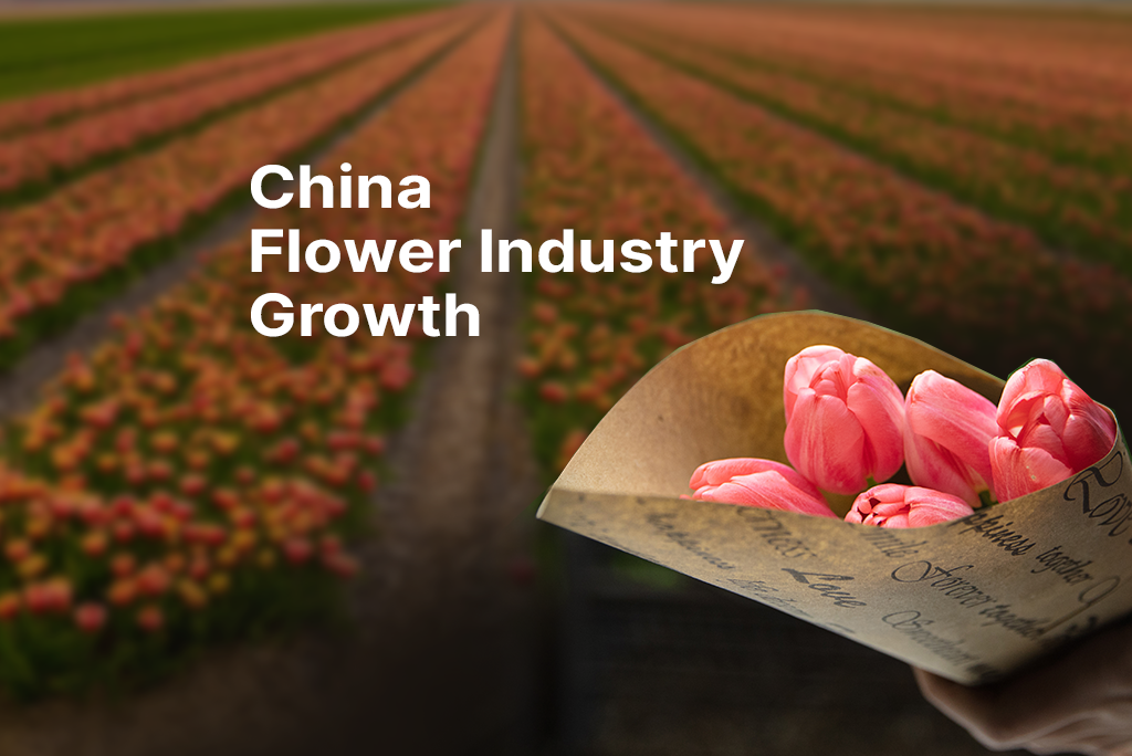 China Flower Exports 'Rose' In 2021, Industry Will Flourish