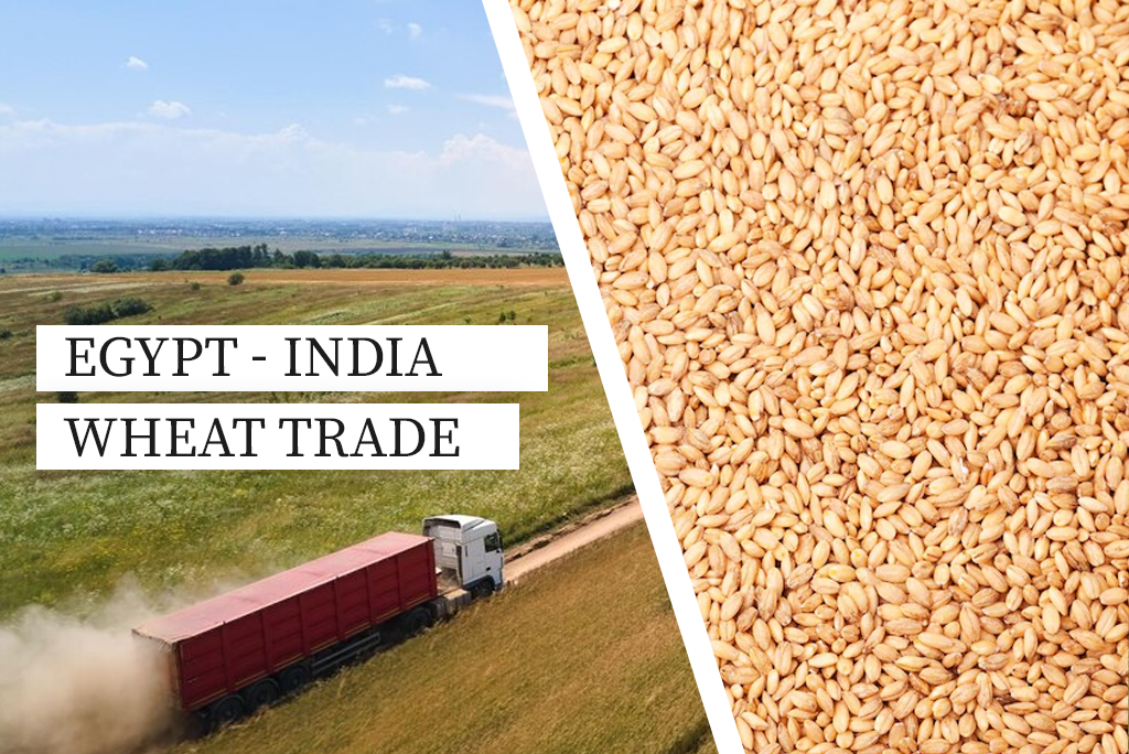 Egypt Approves India For Wheat Imports Of About 1 Million Tons