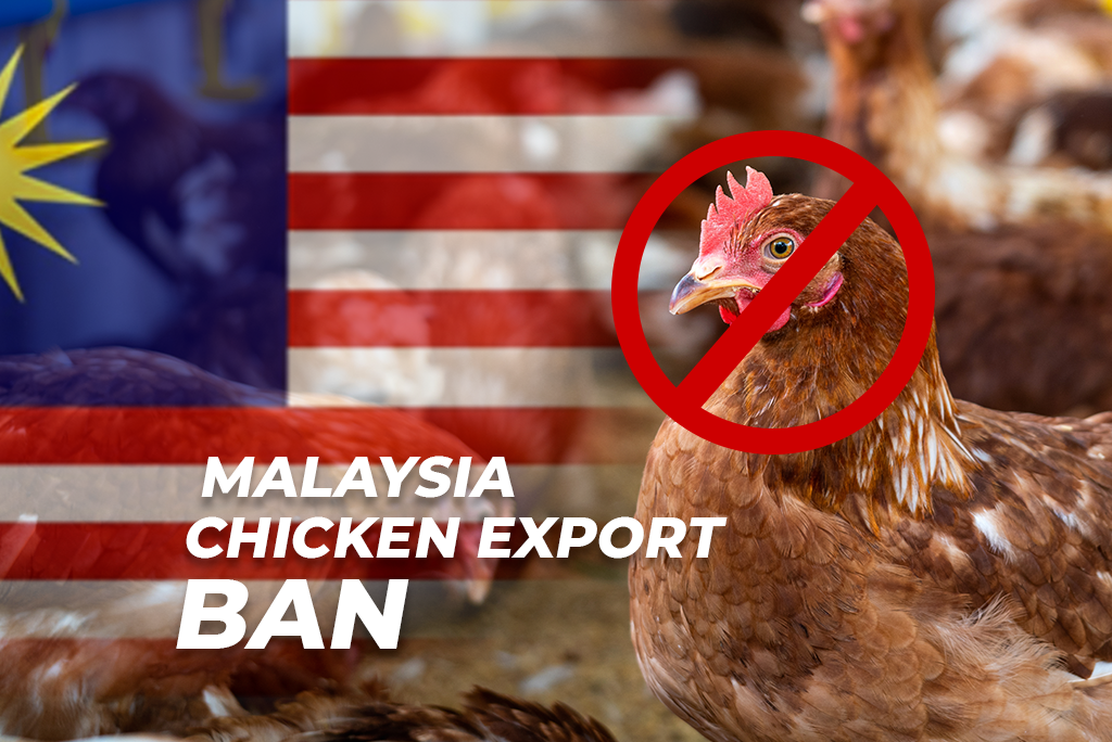 Malaysia Chicken Export Ban, Secures Its Own Domestic Supplies