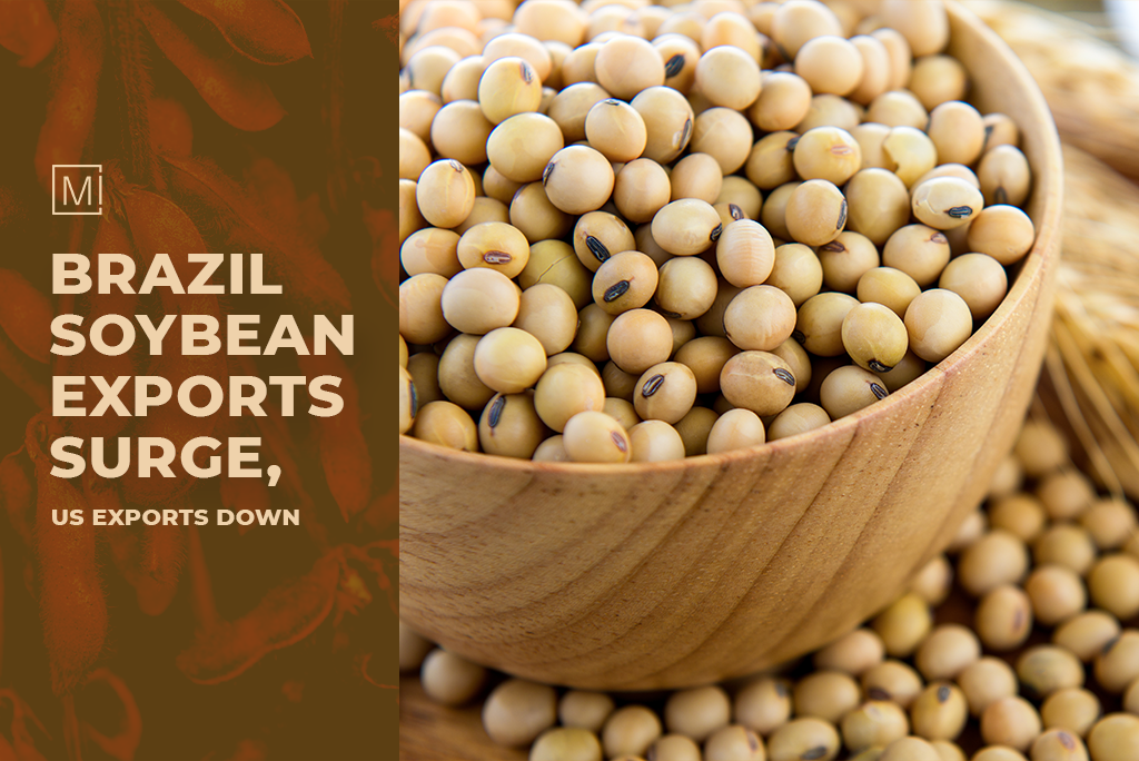 Brazil Soybean Exports Surge, US Exports Down