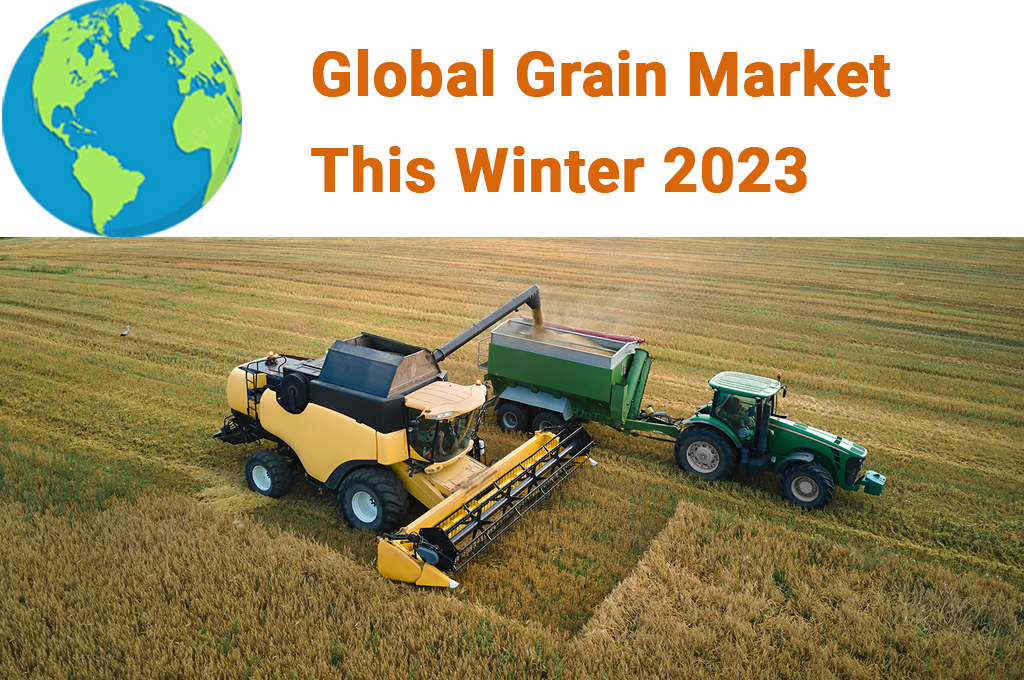 Global Grain Market This Winter 2023