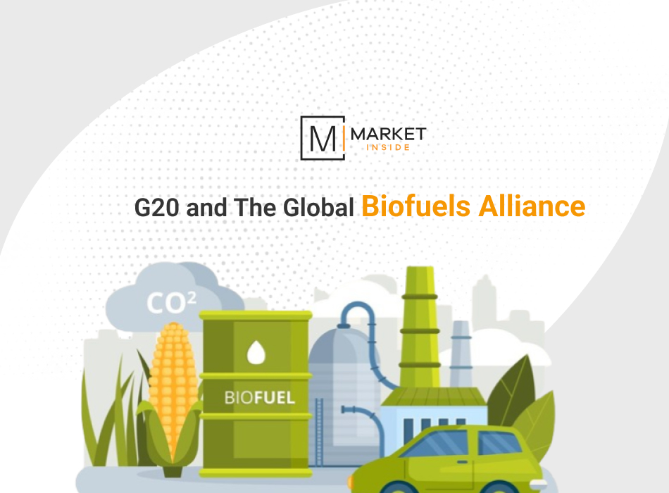 bio-fuel-g20
