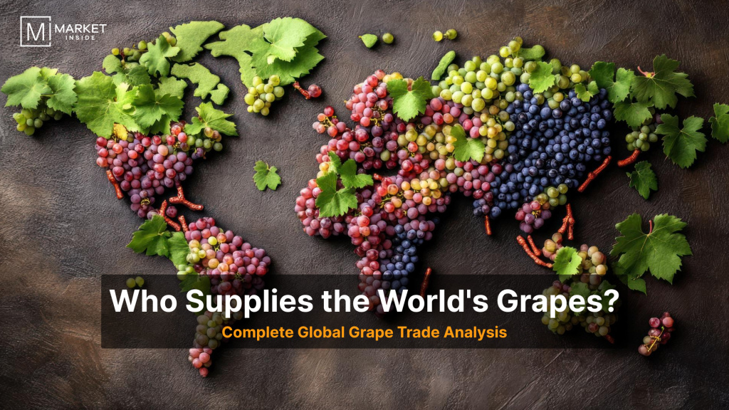 Global Grape Trade Analysis: Top Exporters, Importers, Demand & Supply Trends
