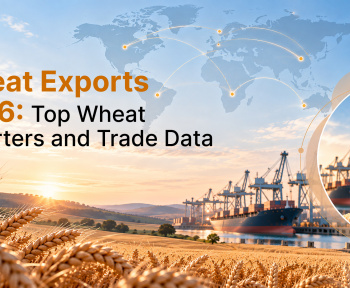 Wheat Exports 2026: Largest Wheat Exporters, Trade Data